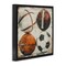 Stupell Industries Rustic Sports Balls Framed Floater Canvas Wall Art Design by Lazar Studio
